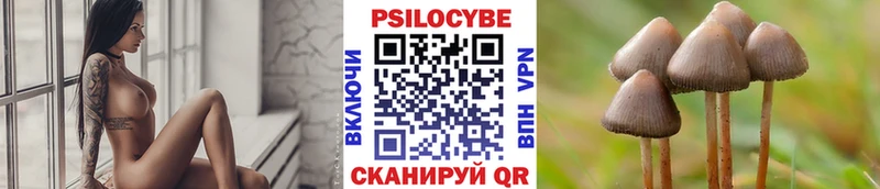 наркошоп  Новотроицк  Псилоцибиновые грибы Psilocybe 