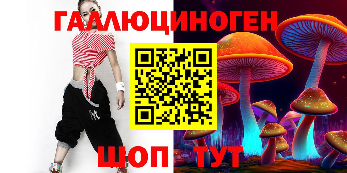 Псилоцибиновые грибы GOLDEN TEACHER Новотроицк