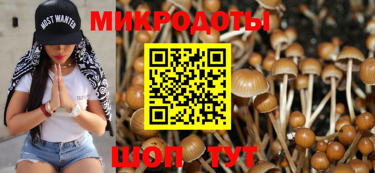 Новотроицк  Псилоцибиновые грибы MAGIC MUSHROOMS  Псилоцибиновые грибы Magic Shrooms  Вход с VPN 